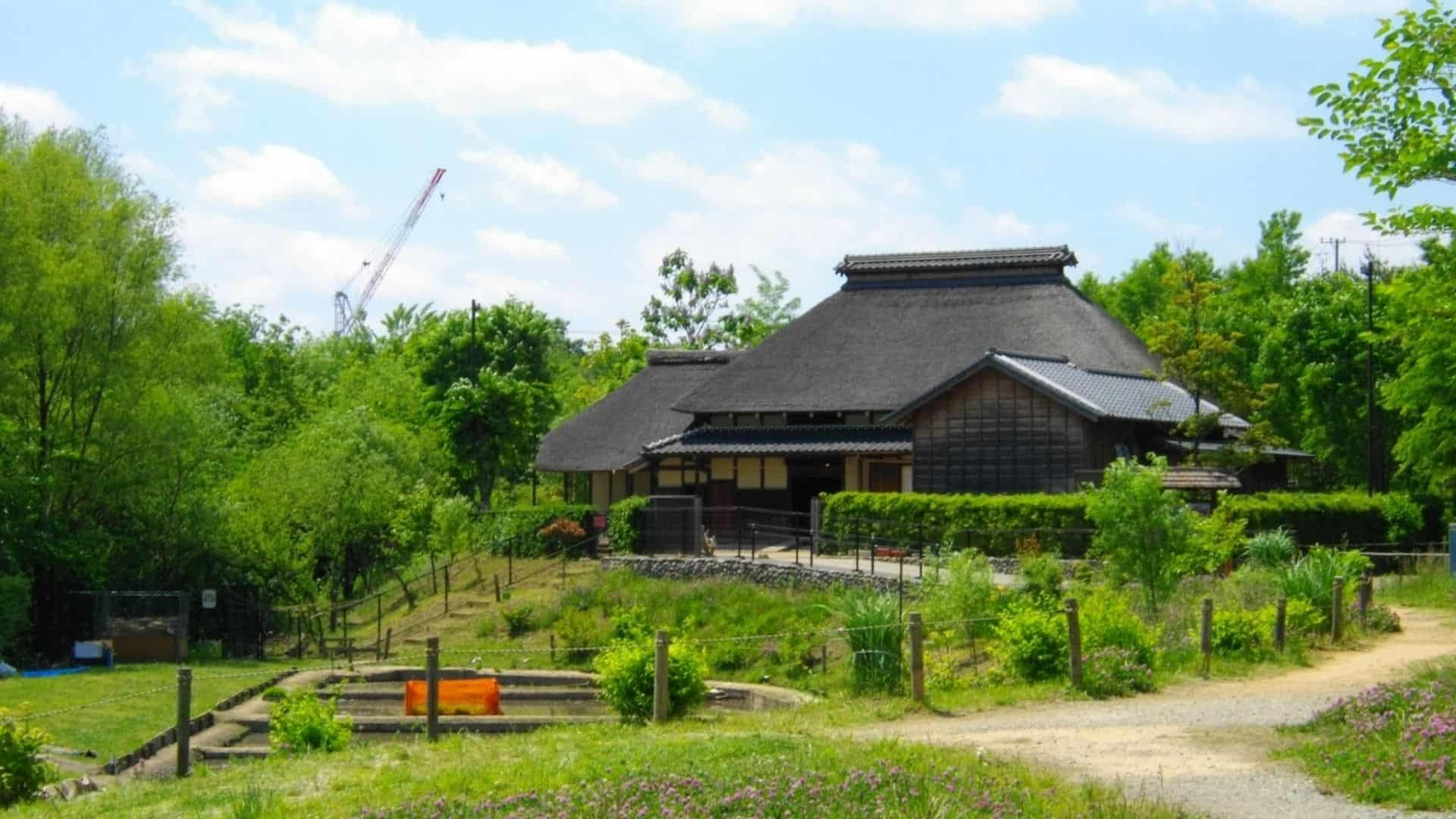 🌳 아카바네 공원 (赤羽公園) 이미지 6